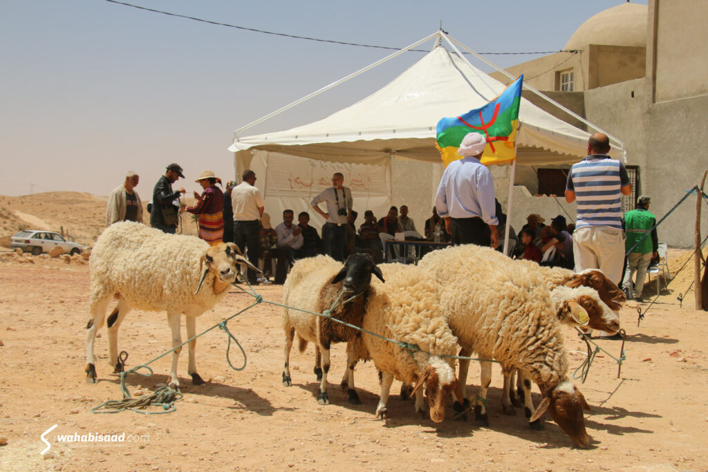 Photo prise par Wahabi SAAD. Photo prise par Wahabi SAAD.