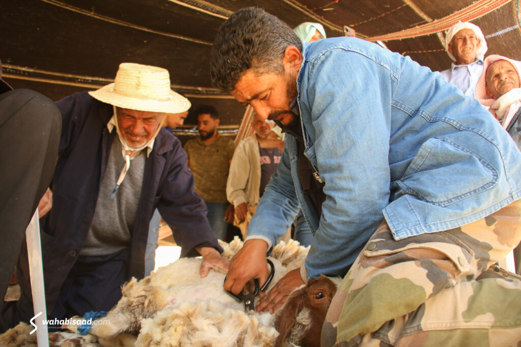 Photo prise par Wahabi SAAD. Photo prise par Wahabi SAAD.