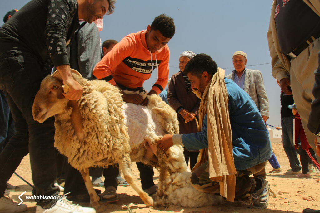 Photo prise par Wahabi SAAD. Photo prise par Wahabi SAAD.