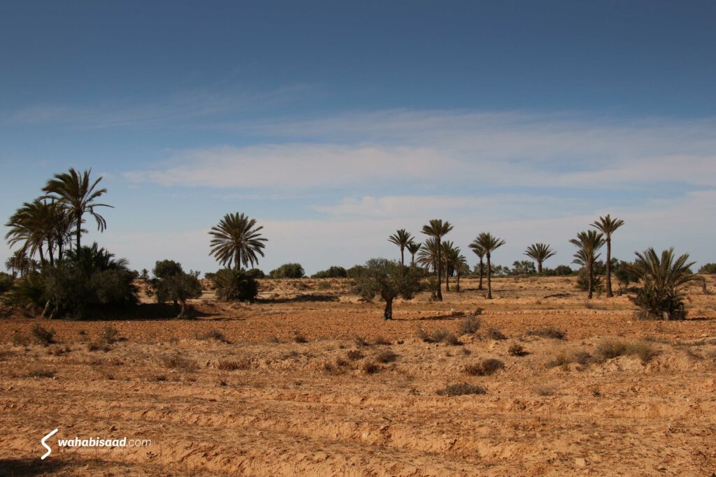 Photo prise par Wahabi SAAD.